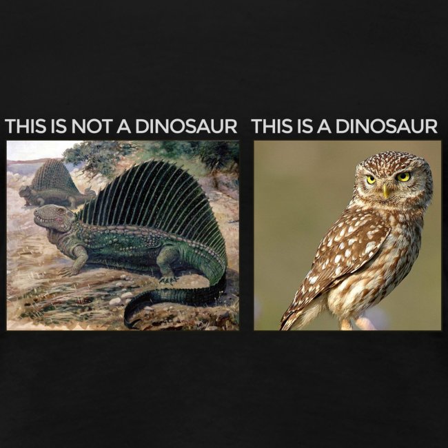 This is not a dinosaur (dark background)