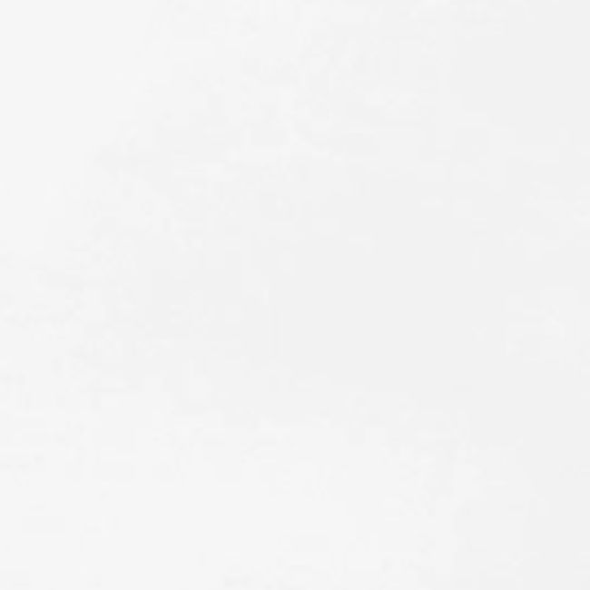 vector logo american histortees