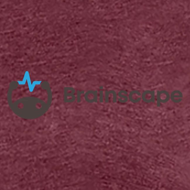 Brainscape Logo -- Linear