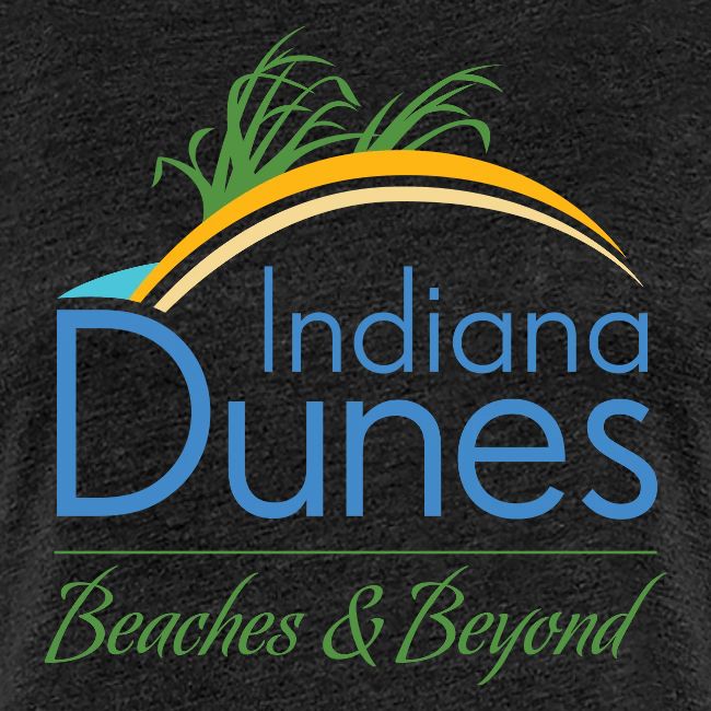 Indiana Dunes Beaches and Beyond