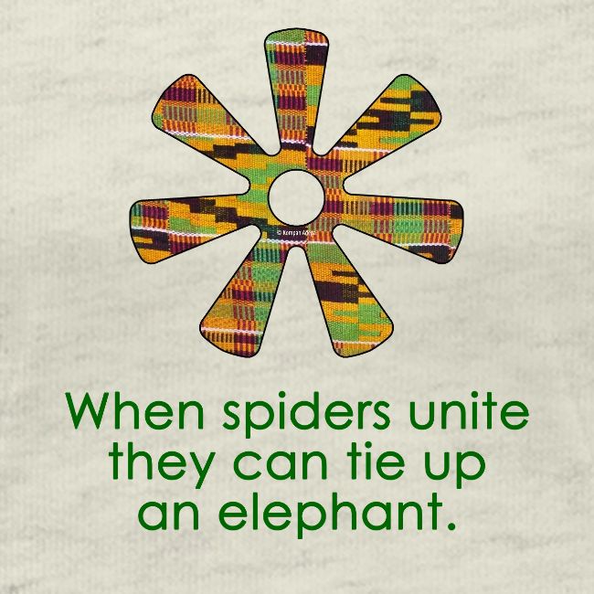 Ananse Ntentan - Spider's Web Adinkra Symbol