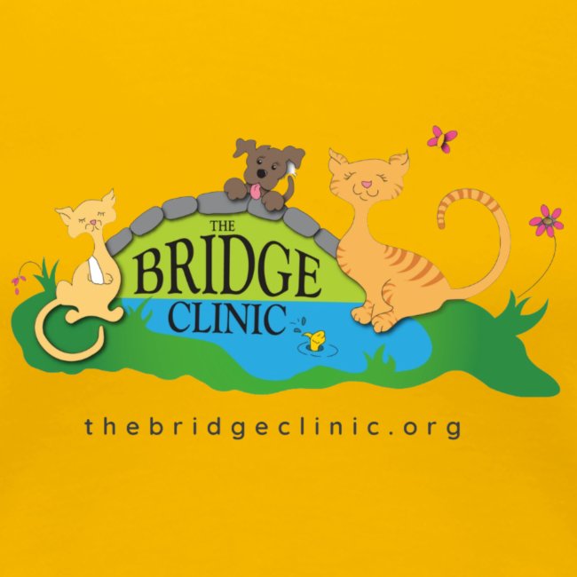 The Bridge Clinic Logo