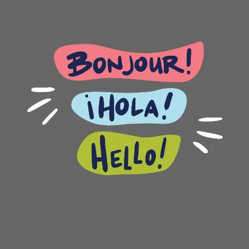 Bonjour Hola Hello Shirts