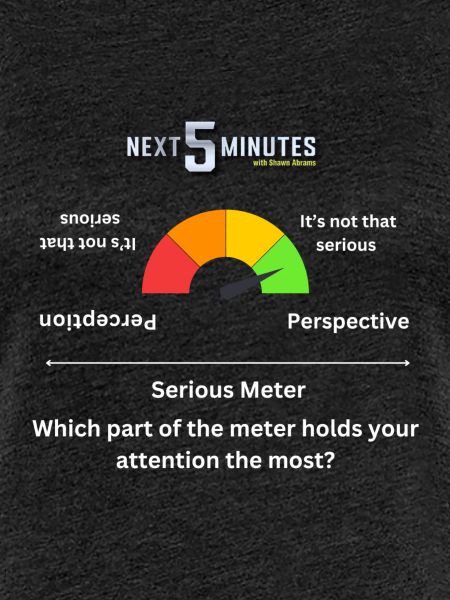 Serious Meter Shawn Abrams