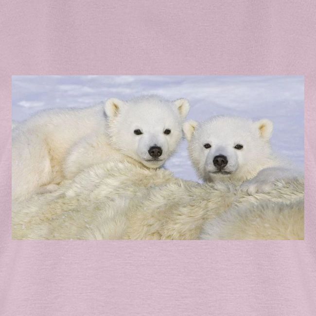 polarbears