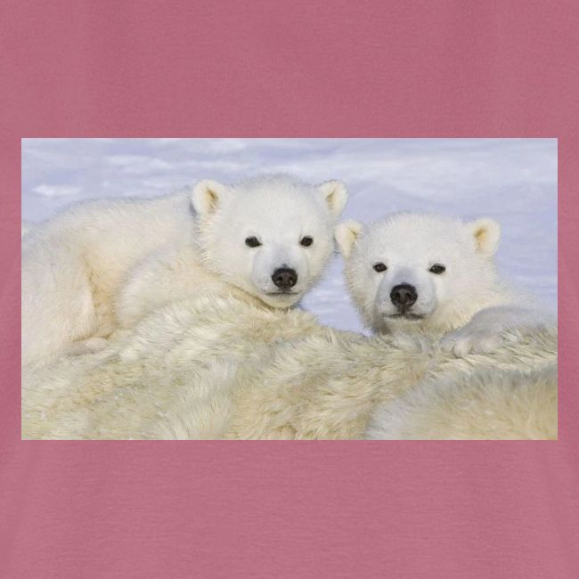 polarbears
