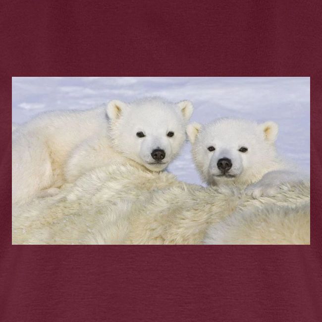 polarbears