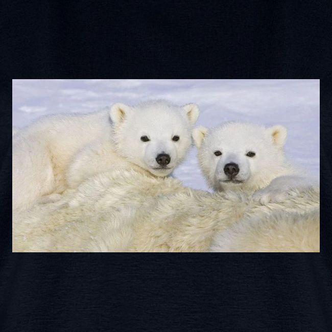 polarbears