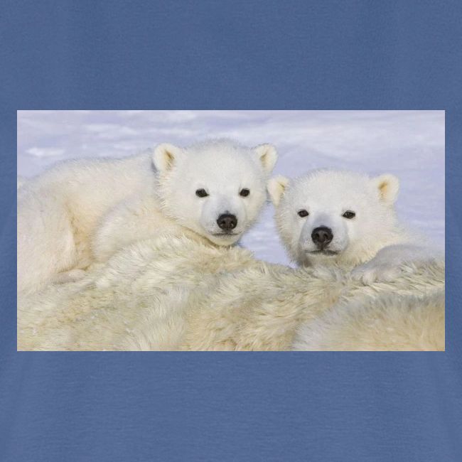 polarbears
