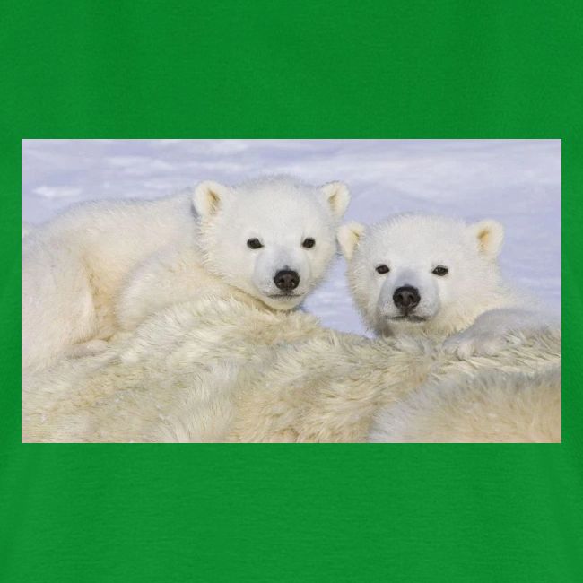 polarbears
