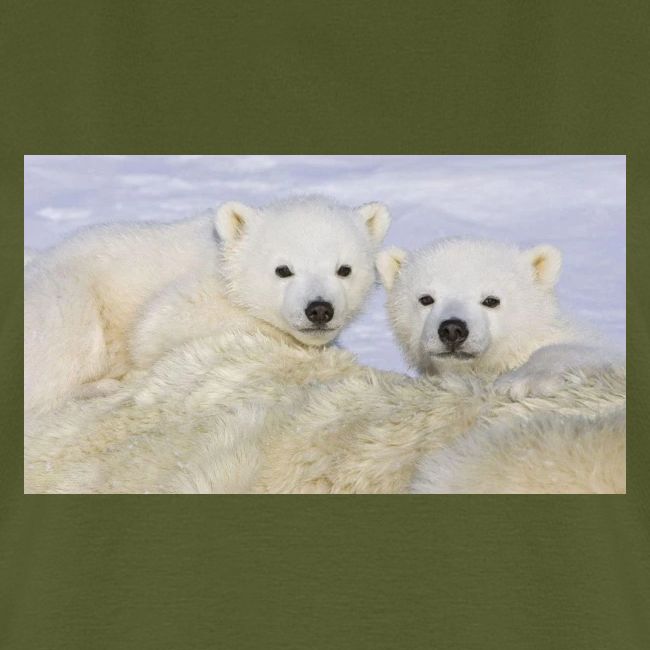 polarbears