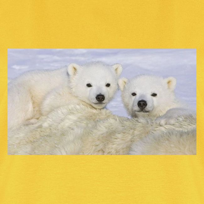 polarbears