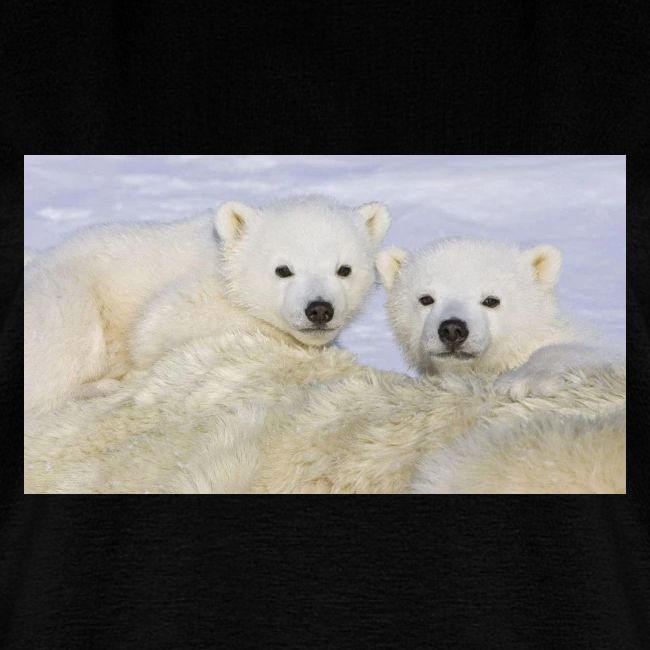 polarbears