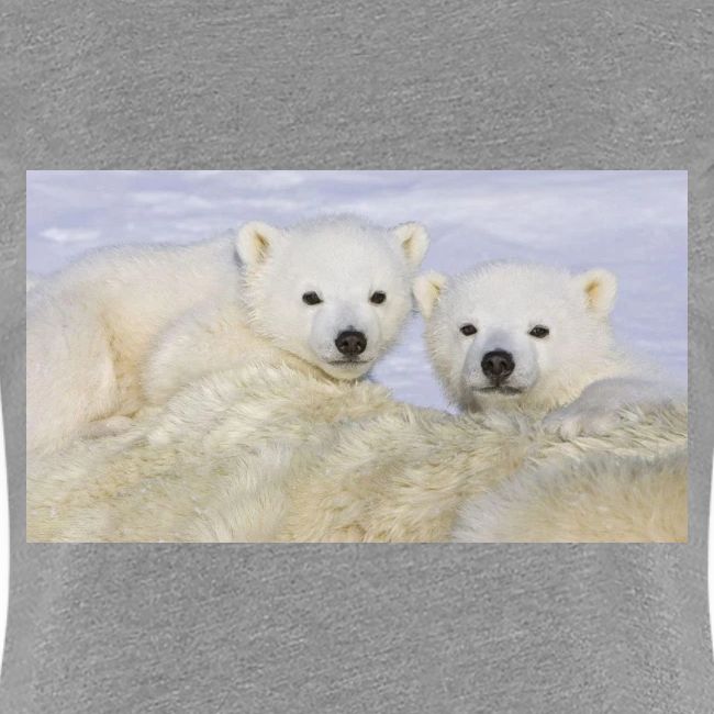 polarbears