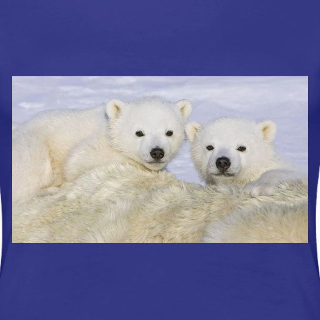 polarbears