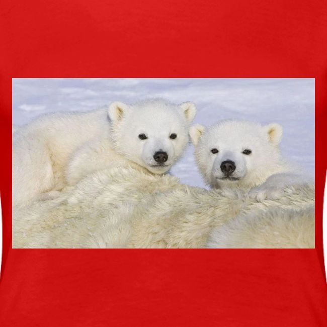 polarbears