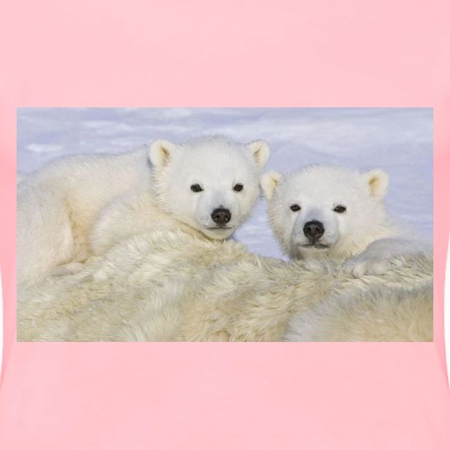 polarbears