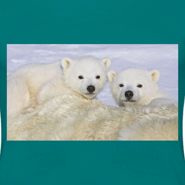 polarbears
