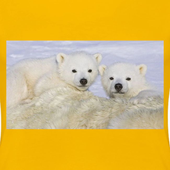 polarbears