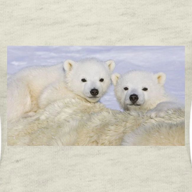 polarbears