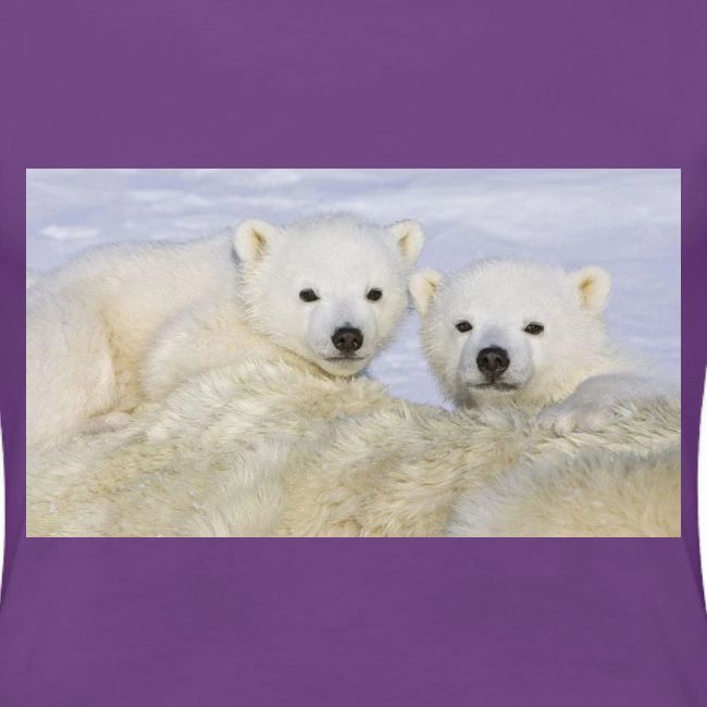 polarbears