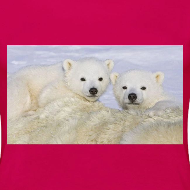 polarbears