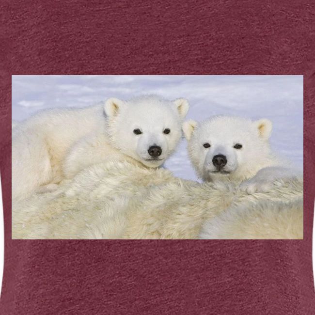 polarbears