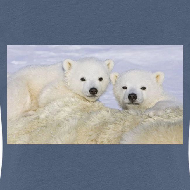 polarbears