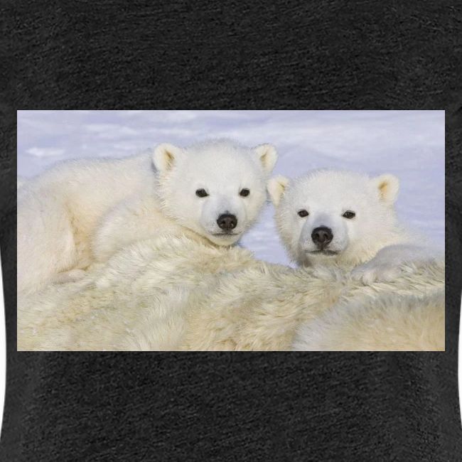 polarbears
