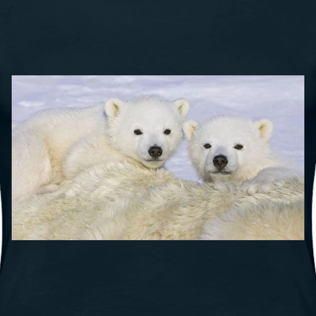 polarbears