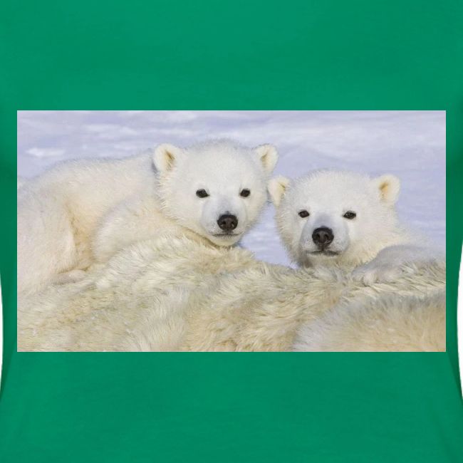 polarbears