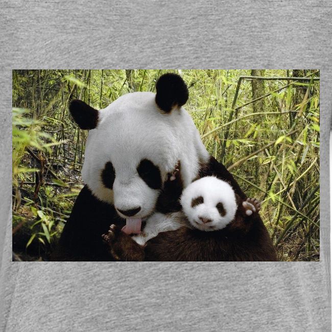 panda