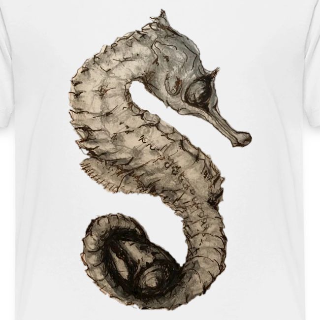seahorse with sea shell