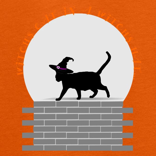 Witch's Cat In A Witch's Hat