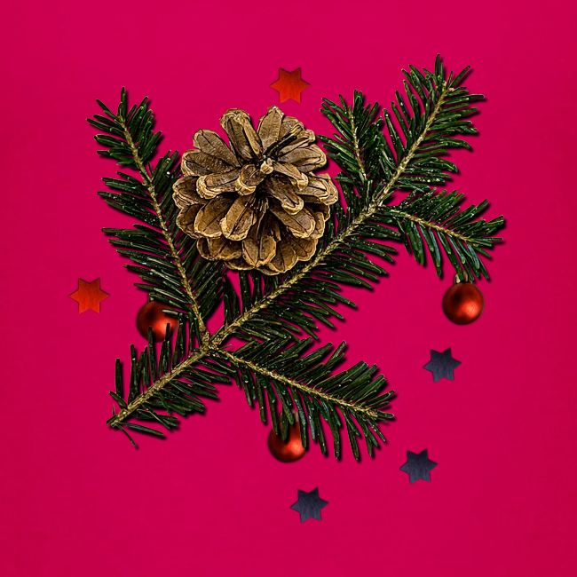Christmas bare branch