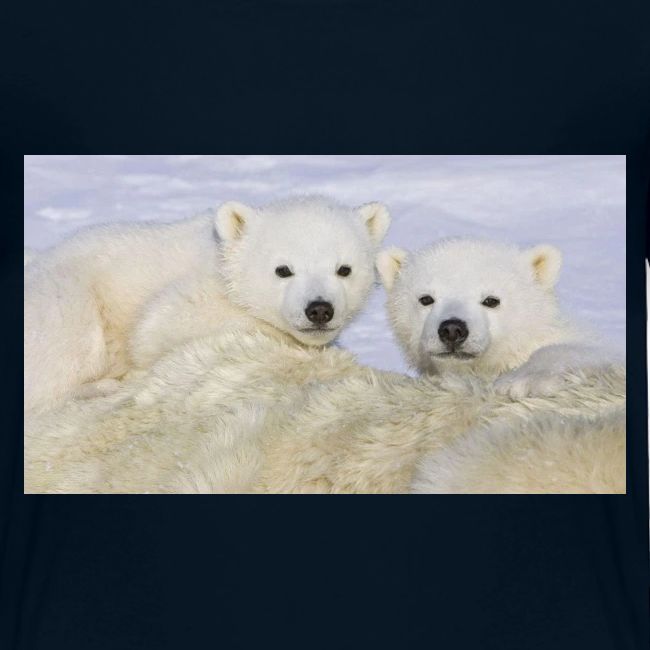 polarbears