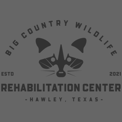 Big Country Wildlife Rehabilitation Center - Kids' Premium T-Shirt