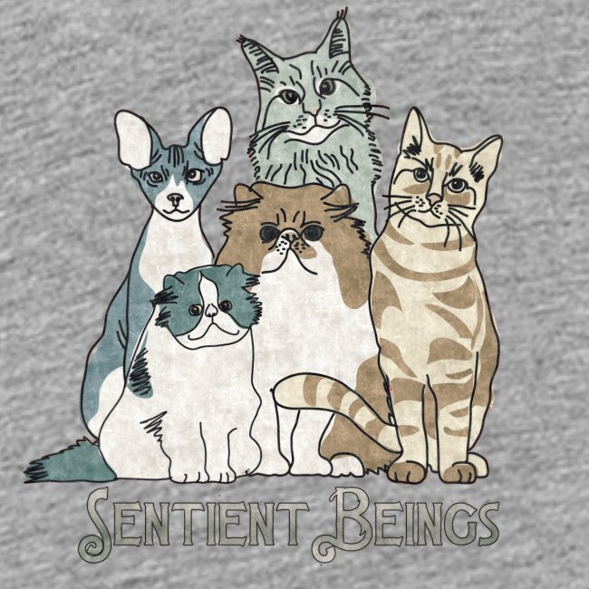 CATS - SENTIENT BEINGS - Carolyn Sandstrom