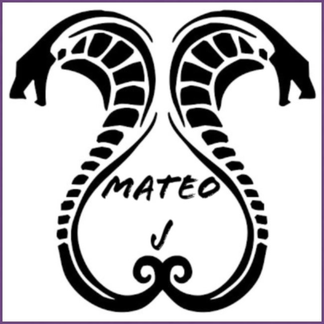 Mateo J Snake design