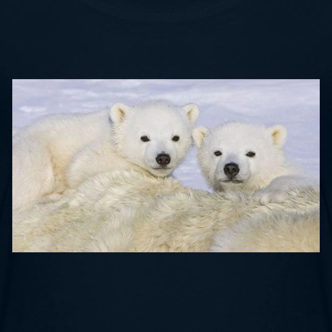 polarbears