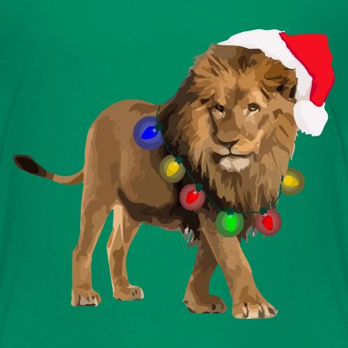 Santa Claws - Kids' Premium T-Shirt