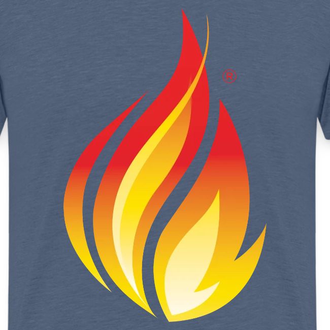 HL7 FHIR Flame Logo
