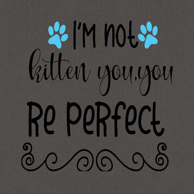 I am not kitten you