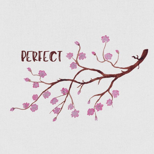 Perfect Cherry Blossom