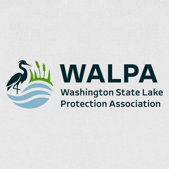 WALPA 1 Full Color 1