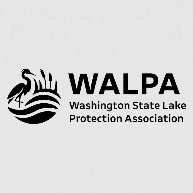 WALPA 1 Black
