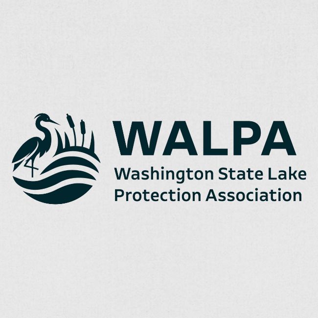 WALPA 1 Navy