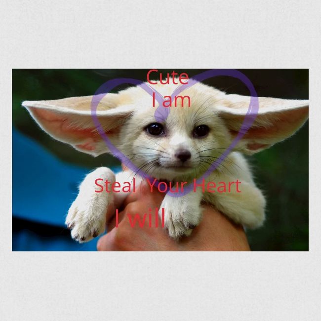 baby fox
