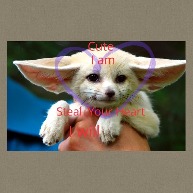 baby fox