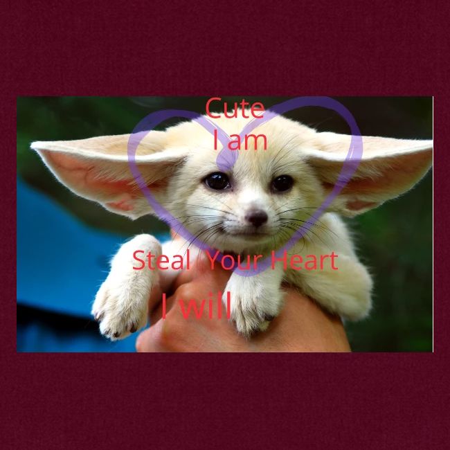baby fox